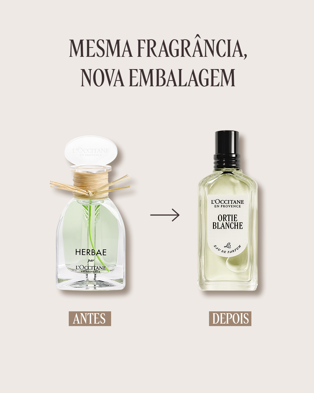 Eau de Parfum Ortie Blanche 50mL (Herbae) | L'Occitane en Provence